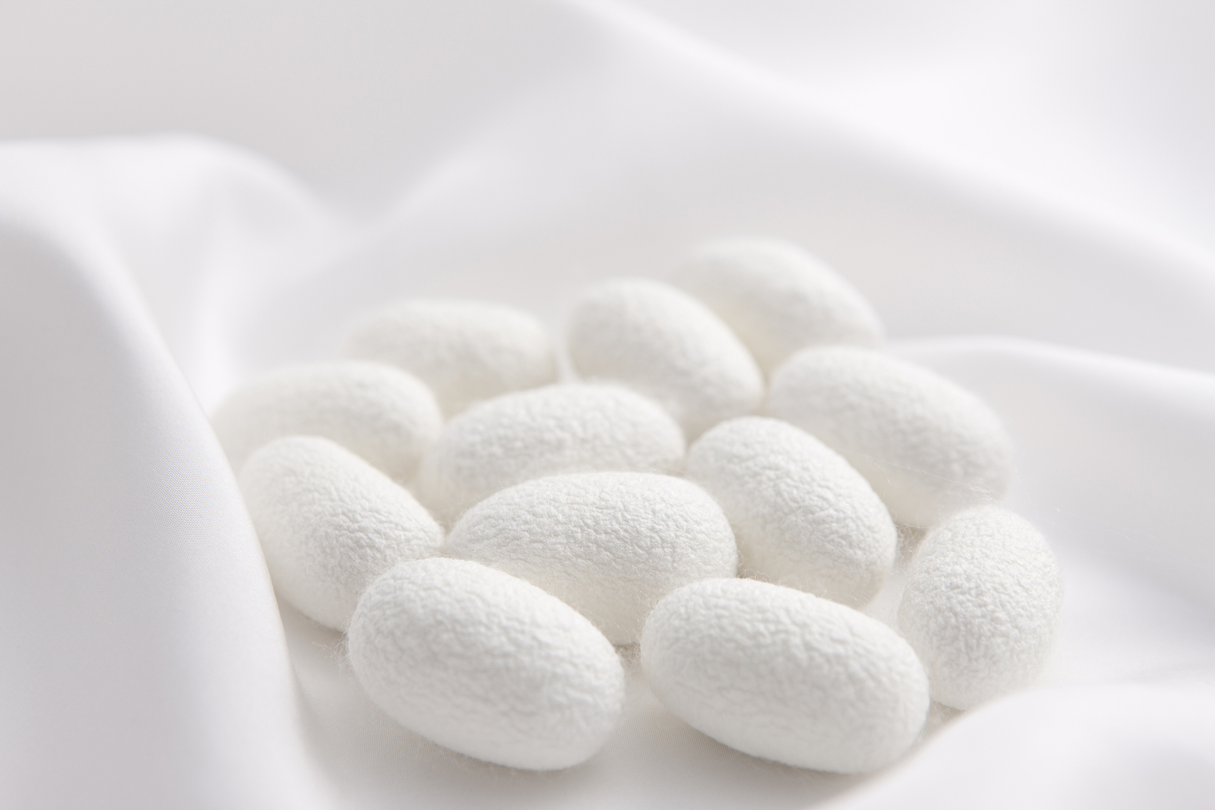 國(guó)家“十四五”重點(diǎn)布局領(lǐng)域 | 再生材料——絲素蛋白